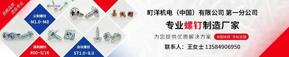 町洋机电（中国）有限公司 第一分公司