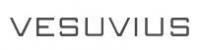 Vesuvius India Ltd.