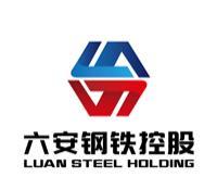 六安钢铁控股集团有限公司