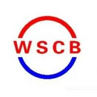 河北王氏常標(biāo)緊固件制造有限公司