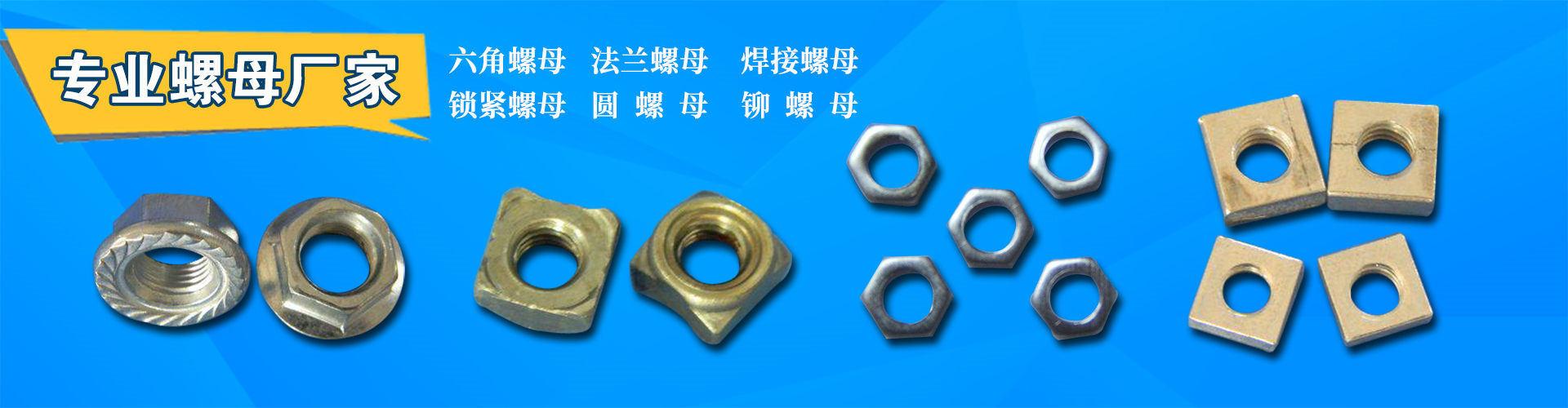 温州锐盈紧固件制造有限公司 企业展示