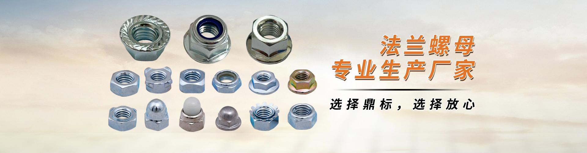 东莞市鼎标五金有限公司 企业展示