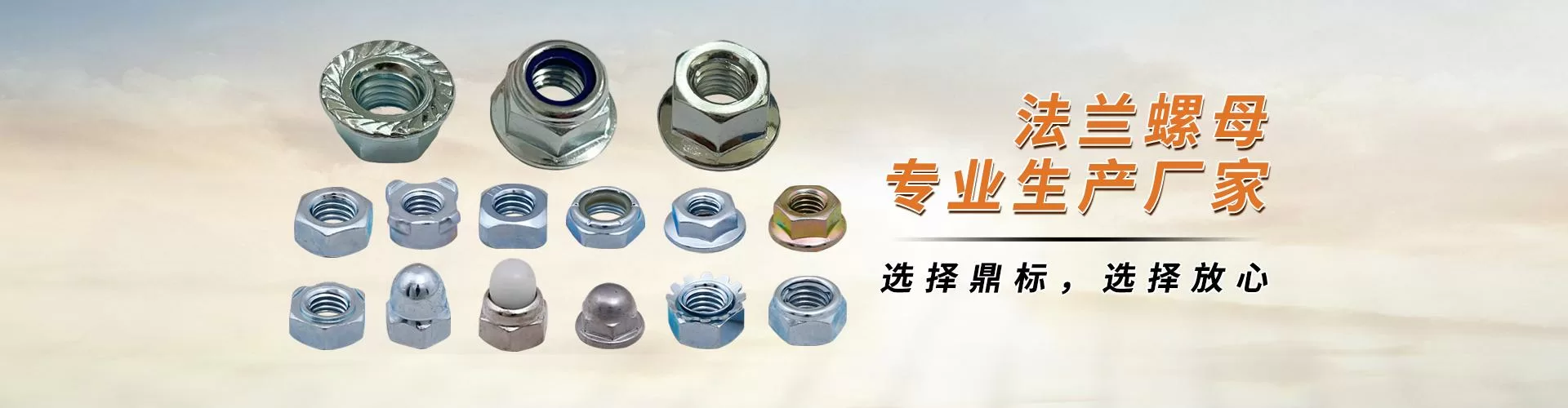 东莞市鼎标五金有限公司 企业展示