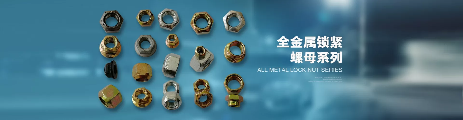 海盐庄一五金制品有限公司 企业展示