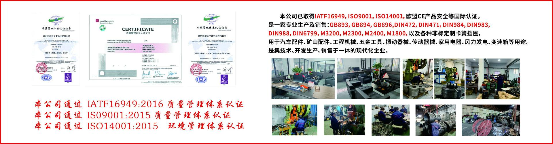 温州市挺进卡簧科技有限公司 企业展示