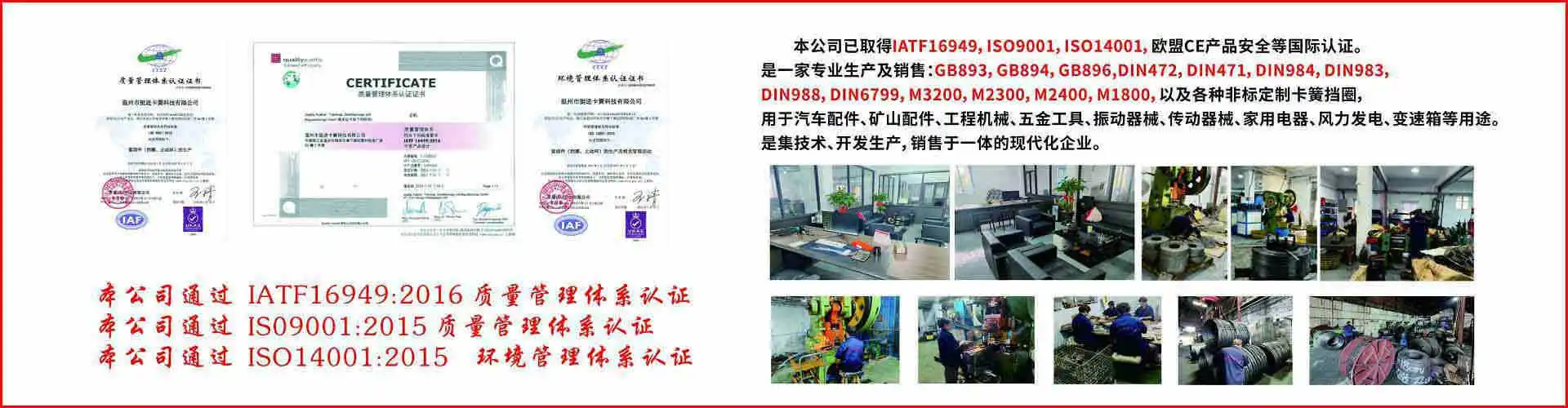 温州市挺进卡簧科技有限公司 企业展示