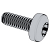 Hexalobular Socket Pan Head Thread Rolling Screws