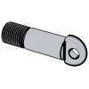 Eyebolt For Shackles, Forms BC and SC