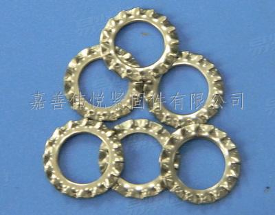 不鏽鋼外鋸齒鎖緊墊圈