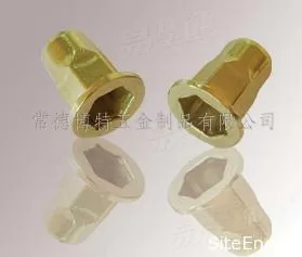 平头半六角铆螺母