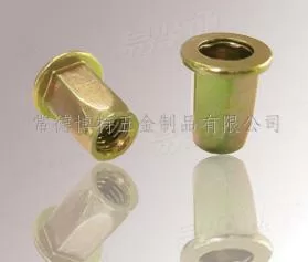 平头全六角铆螺母