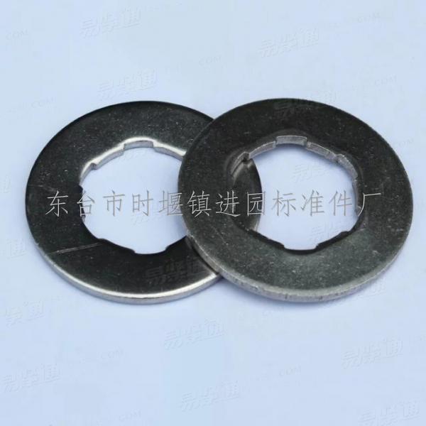 不锈钢非标垫圈（内孔凹凸）