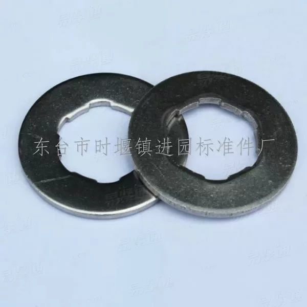 不锈钢非标垫圈（内孔凹凸）