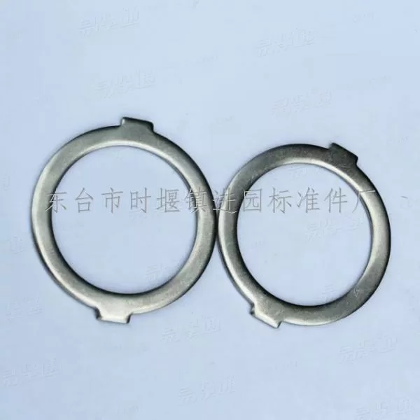 不锈钢止动垫圈  双耳止动垫圈  非标止动垫圈