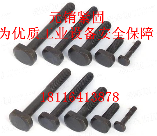 DIN261 T型螺栓(T型带孔螺栓）