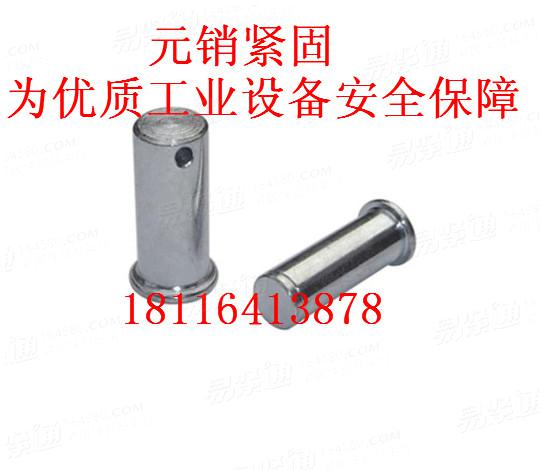 ISO2341  销轴