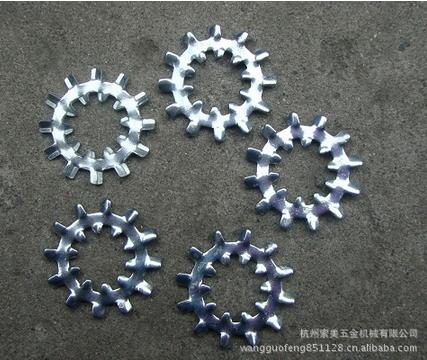 非标带齿垫圈 厂家直供 欢迎订购