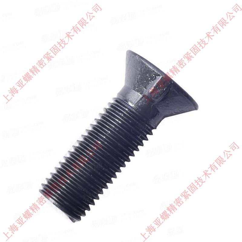 304不鏽鋼沉頭帶榫螺栓M10*30