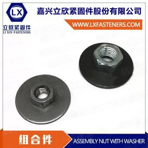 组合件—螺母配套大垫圈组合