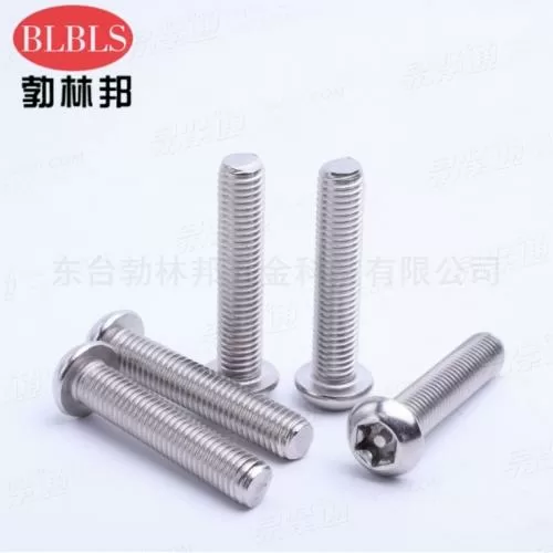 廠家直銷(xiāo) 304不銹鋼防盜螺絲YJT4030 半圓頭內(nèi)梅花帶柱防盜螺絲 可定制