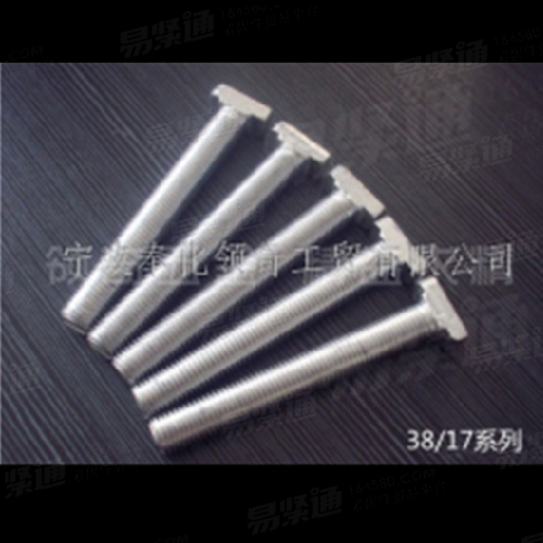 宁波厂家直销高强度抗疲劳预埋槽用T型螺栓