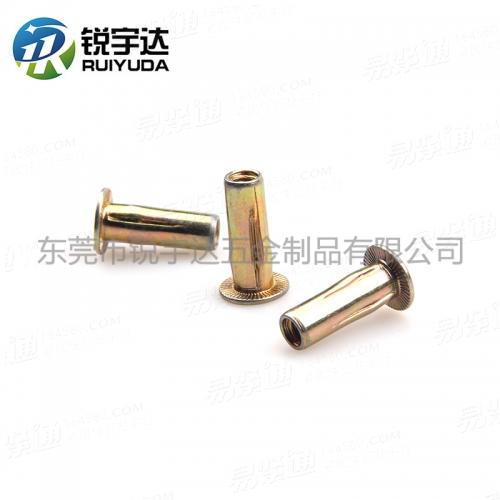 YJT8005 平头开槽拉铆螺母 平头灯笼拉帽