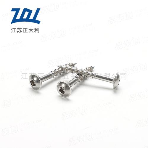 方孔带介子自攻螺钉