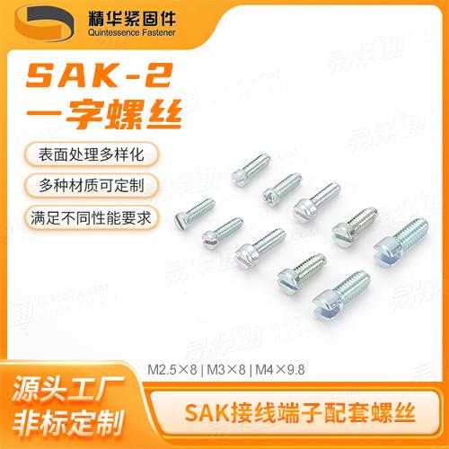 SAK-2一字螺絲