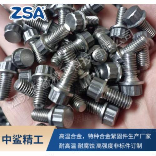 GH2132/A286 帶法蘭面的12角螺栓