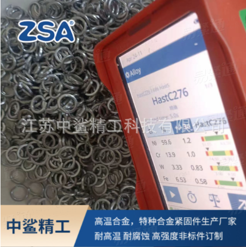 Hastelloy C276 彈簧墊圈