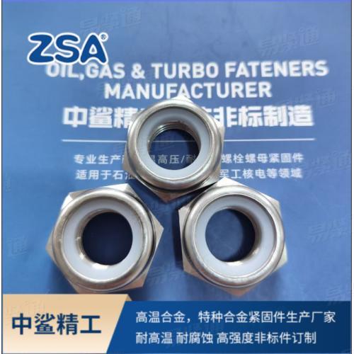 不銹鋼316 尼龍鎖緊螺母