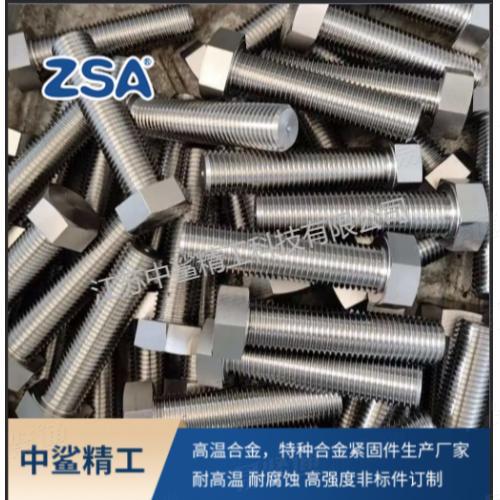 不鏽鋼SUS309/1.4833 六角螺栓