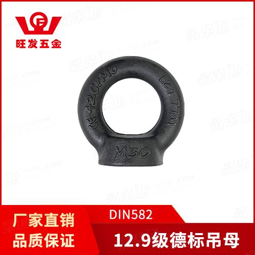 專業(yè)吊環(huán)廠家12.9級(jí)德標(biāo)吊環(huán)螺母DIN582