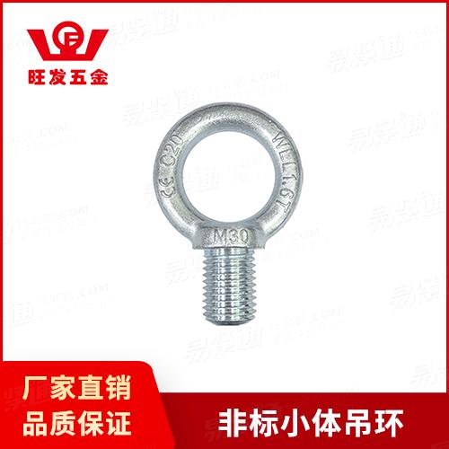 非标小体吊环专业吊环厂家来图定制