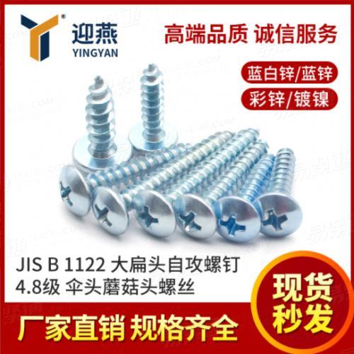 JIS B 1122十字槽大扁頭自攻螺絲釘4.8級(jí)傘頭蘑菇頭螺絲M3-M5