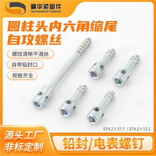 圓柱頭內(nèi)六角縮尾自攻螺絲廠家直銷非標來圖定制封鉛螺釘/電表螺釘