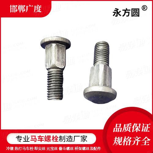 廠家直銷來圖來樣非標(biāo)定制DIN603大半圓頭方頸螺栓