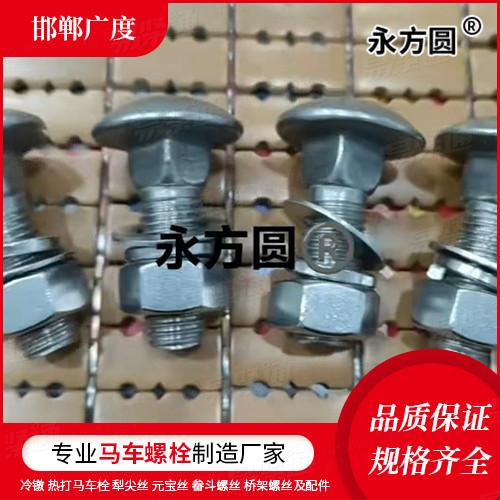 專業(yè)馬車螺栓廠家GB794加強(qiáng)半圓頭方頸螺栓非標(biāo)來圖定制