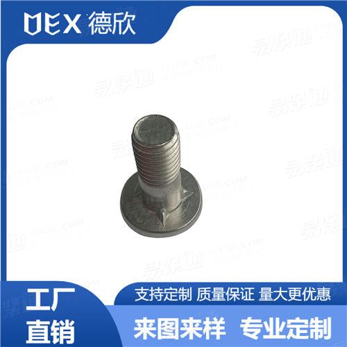 廠家直銷304不銹鋼非標大扁頭粗桿半牙螺絲 非標大圓頭螺釘