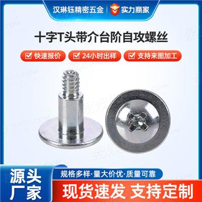 防松抗震耐腐蚀M3-M6家电仪器设备专用十字T头带介台阶自攻螺丝