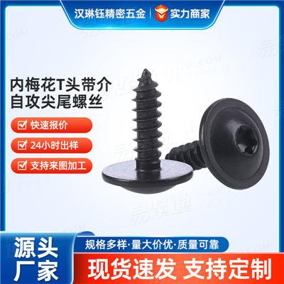 精密儀器電子電器專用不銹鋼內梅花T頭帶介自攻尖尾螺絲 新能源