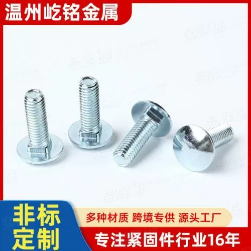 大扁头方颈马车螺栓 货架螺栓 防转型螺丝 桥架螺丝 非标定 制
