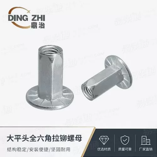 大帽铆螺母厂家直销来图定制大平头全六角拉铆螺母
