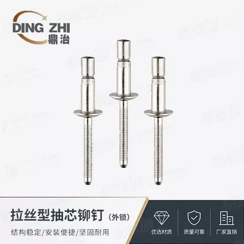 厂家直销拉丝型圆头抽芯铆钉 - 外锁非标定制