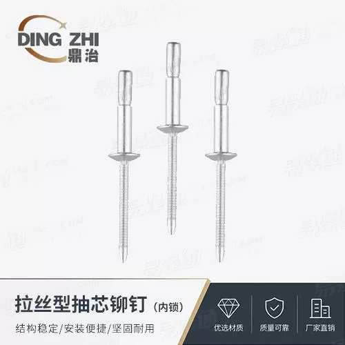厂家直销拉丝型沉头抽芯铆钉 - 内锁