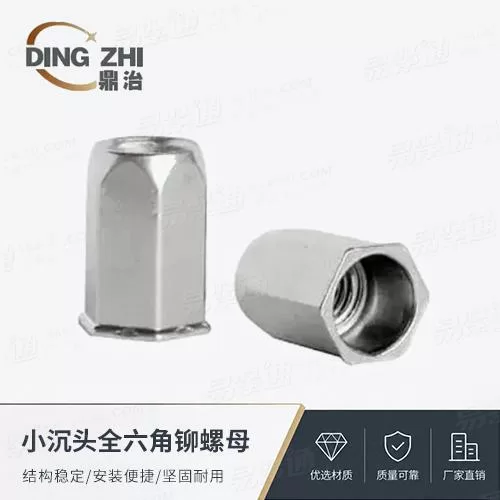 专业铆螺母厂家小沉头全六角铆螺母