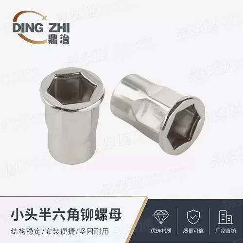 专业铆螺母厂家小头半六角铆螺母