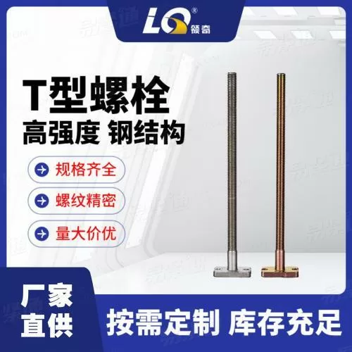 宁波领奇8.8级T型螺栓高强度螺栓非标定制厂家直供
