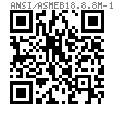 ASME B 18.8.8M (B) - 1994 米制销轴 B型