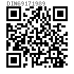 DIN  6917 - 1989 鋼結構工字鋼用高強度螺栓連接用方形墊圈
